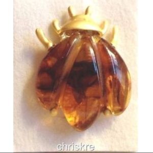 Vintage Gold Honet Amber Beetle Pin Brooch Bug Insect Bee Acrylic Plated